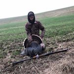 Gavin Foster - @gavin_carbon - Instagram