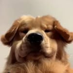 Gavin Fowler - @gavinfowler38 - Instagram