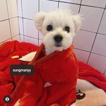 Gavin Frank - @gavinfrank470 - Instagram