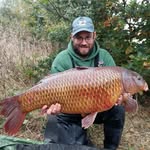Gavin Franklin - @carpygav - Instagram