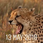 Gavin  Friedman - @gavin_friedman - Instagram