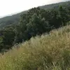 Gavin - @gavinfucan - TikTok