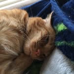 Gavin Gaines - @gavo663 - Instagram