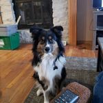 Gavin Galbraith - @kodiak199 - Instagram