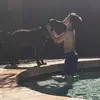 ️ - @gavin.gamble.18 - TikTok