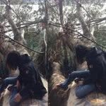 Gavin Garza - @californianeohippy - Instagram