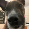 Gavin G - @g.gebhardt - TikTok