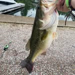 Gavin Geiger - @geigergavin7623 - Instagram
