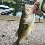 GavinGeiger - @gavingeiger7623 - Instagram