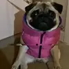 Ranter - @gavin.geiger5 - TikTok