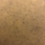 Gavin Gibbs - @_gavin_gibbs - Instagram
