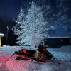 Gavin Gillespie - @gavin.998 - TikTok