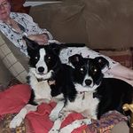 Gavin Gillespie - @gillespie_gavin - Instagram