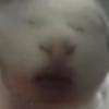 Gavin - @gavinglenn - TikTok