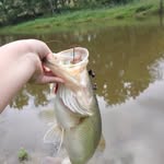 Gavin.graf - @crank.bait127 - Instagram