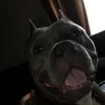 Gavin Gregory - @gavingregory42 - Instagram