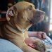 Gavin Grigsby - Facebook