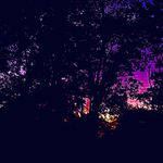 Gavin Grimm - @gavin__grimm - Instagram