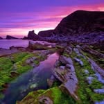 Gavin Grove - @gavin.grove - Instagram