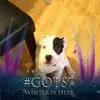 Gavin Groves - @gavin.groves4 - TikTok