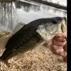 Gavin Grubb - @gavingrubb - TikTok