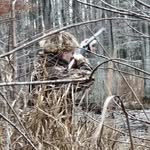 Gavin Grubbs - @grubbs2730 - Instagram