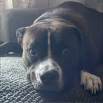 Gavin Grubbs - @ggrubbs07 - Instagram