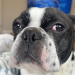 Gavin Guzman - @gavongooseman - Instagram