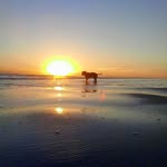 Gavin Hahn - @hahn_gavin - Instagram