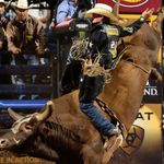 Gavin Hanson - @gavinhanson13 - Instagram