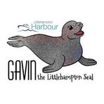 Gavin the Littlehampton Harbour Seal - Facebook