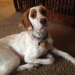 Gavin Harmon - @gavinharmon8 - Instagram