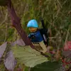 LegoPhotoBoy27 - @gavinharmon76 - TikTok