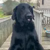 Gavin - @gavin_harper15 - TikTok