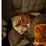 Gavin David Hartley - @gavindavidhartley - Instagram