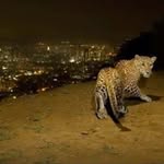 Gavin - @gavin.hawkins1 - Instagram