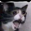Gavin Hawk - @gavin020806 - TikTok