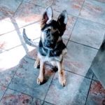 Gavin hensley - @gavin_gavin_gavin_gavin_gavin - Instagram