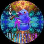 Gavin Hensley - @the_bakedfish - Instagram