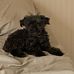 Gavin Herring - Facebook