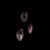 Gavin Hess - @gavin.hess - TikTok