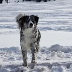 GavinDenham - @gavin_hilton_denham - Instagram