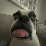 Gavin Holder - @g1holder - Instagram