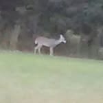 gavin lee holler - @gavinleeho - Instagram