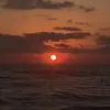 gavin.hollerr - @gavin.hollerr - TikTok