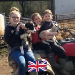 Gavin Holman - Facebook