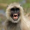 Gavin_Huber - @gavin_huber - TikTok