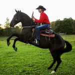 Gavin Huffman Horsemanship - @gavin_huffman1120 - Instagram