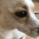 Gavin Hui - @gavin.hui.520 - Instagram