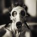 Gavin Hunter - Facebook